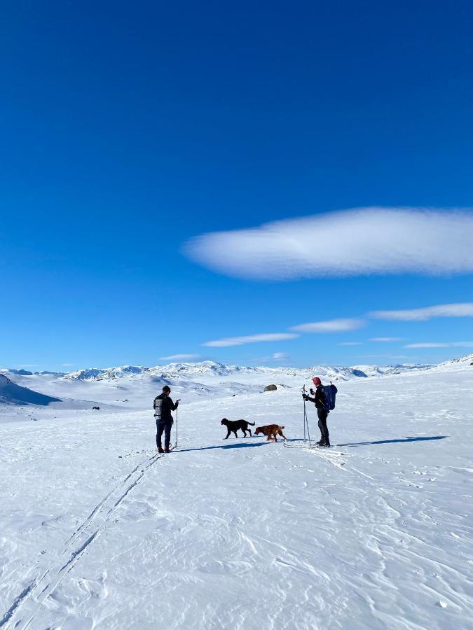 Ferienwohnung Hyggelig Leilighet I Sentrum Hemsedal Exterior foto