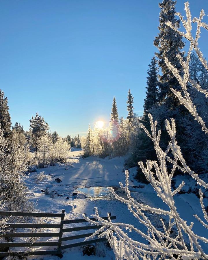 Ferienwohnung Hyggelig Leilighet I Sentrum Hemsedal Exterior foto