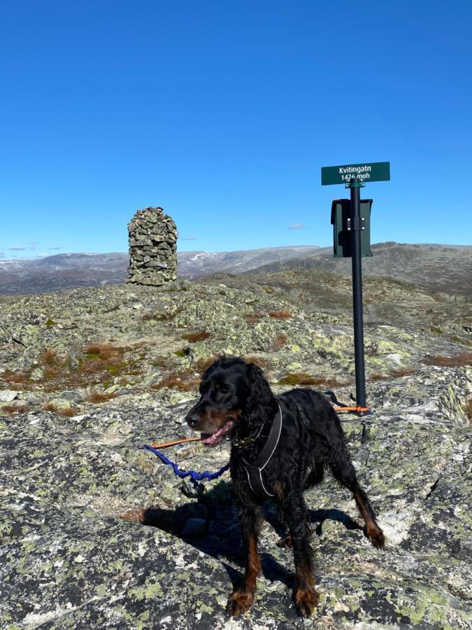 Ferienwohnung Hyggelig Leilighet I Sentrum Hemsedal Exterior foto