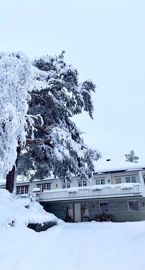 Ferienwohnung Hyggelig Leilighet I Sentrum Hemsedal Exterior foto