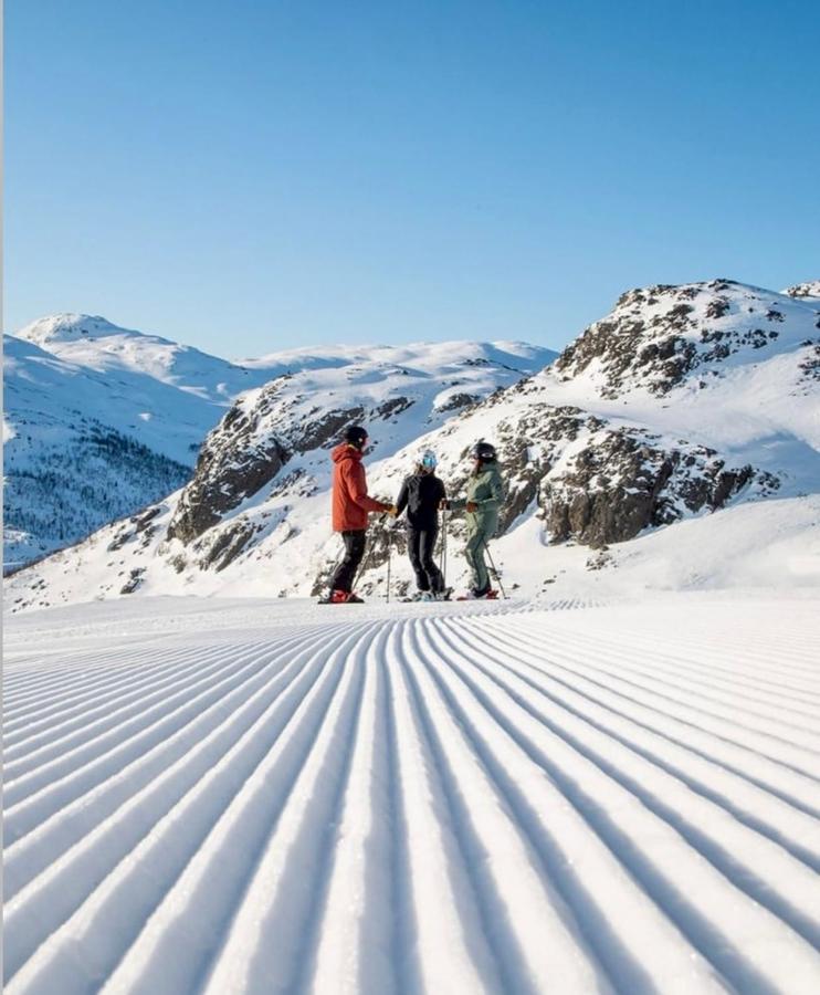 Ferienwohnung Hyggelig Leilighet I Sentrum Hemsedal Exterior foto