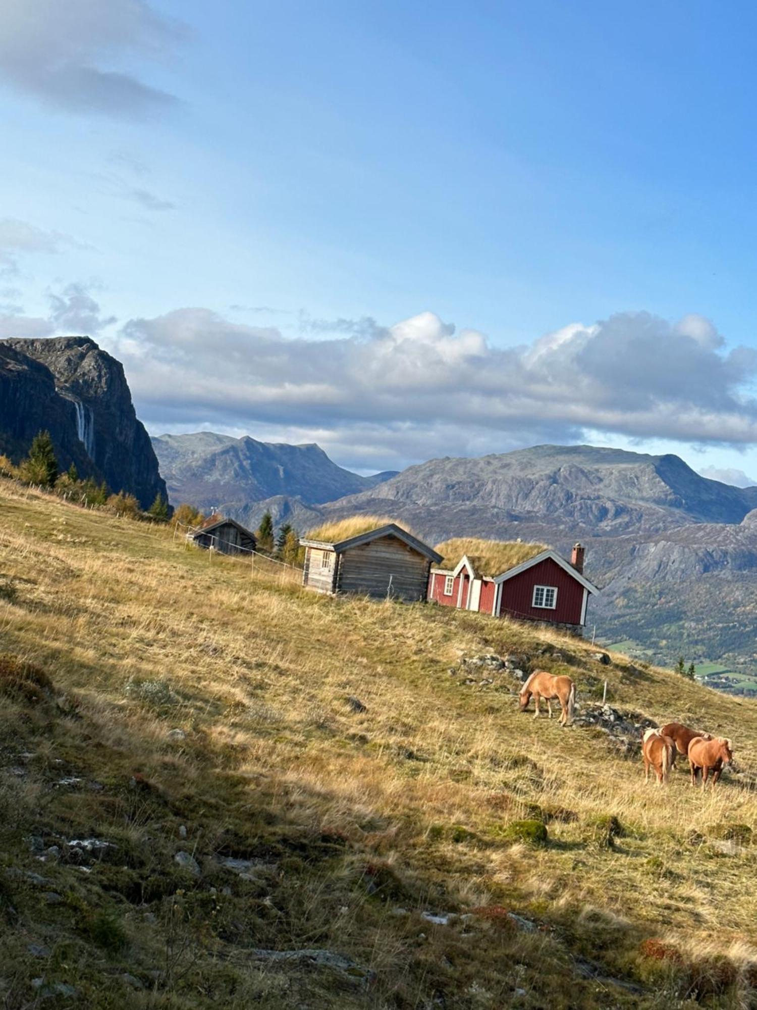 Ferienwohnung Hyggelig Leilighet I Sentrum Hemsedal Exterior foto